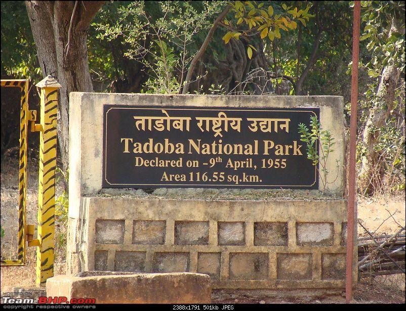 Tadoba